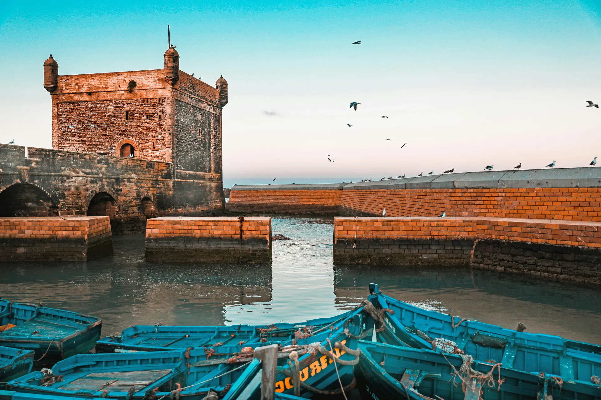 Excursion en groupe à Essaouira et sa médina classée UNESCO — Riad Ilyan, Marrakesh