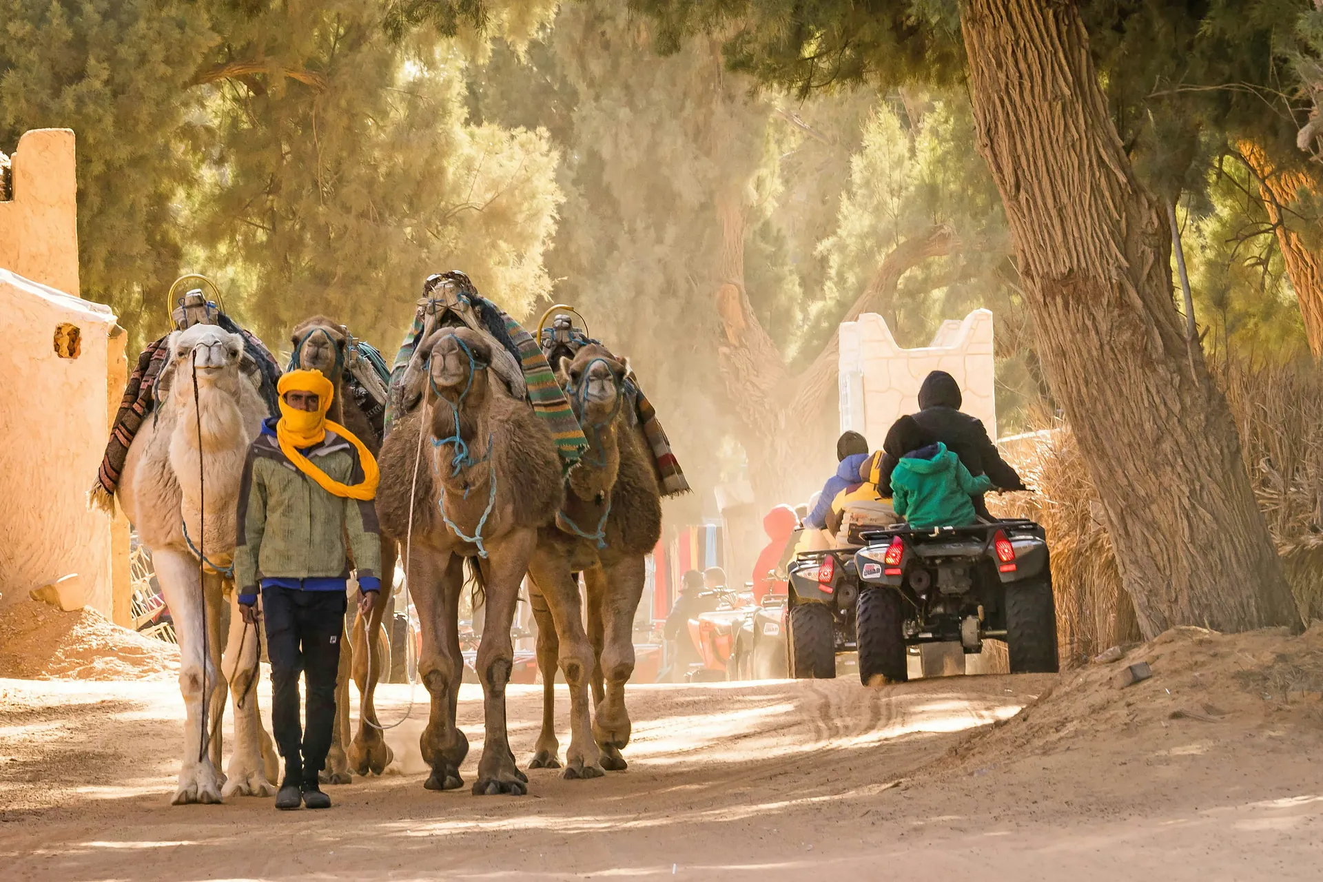 Quad et balade à dos de chameau dans le désert près de Marrakesh — Riad Ilyan