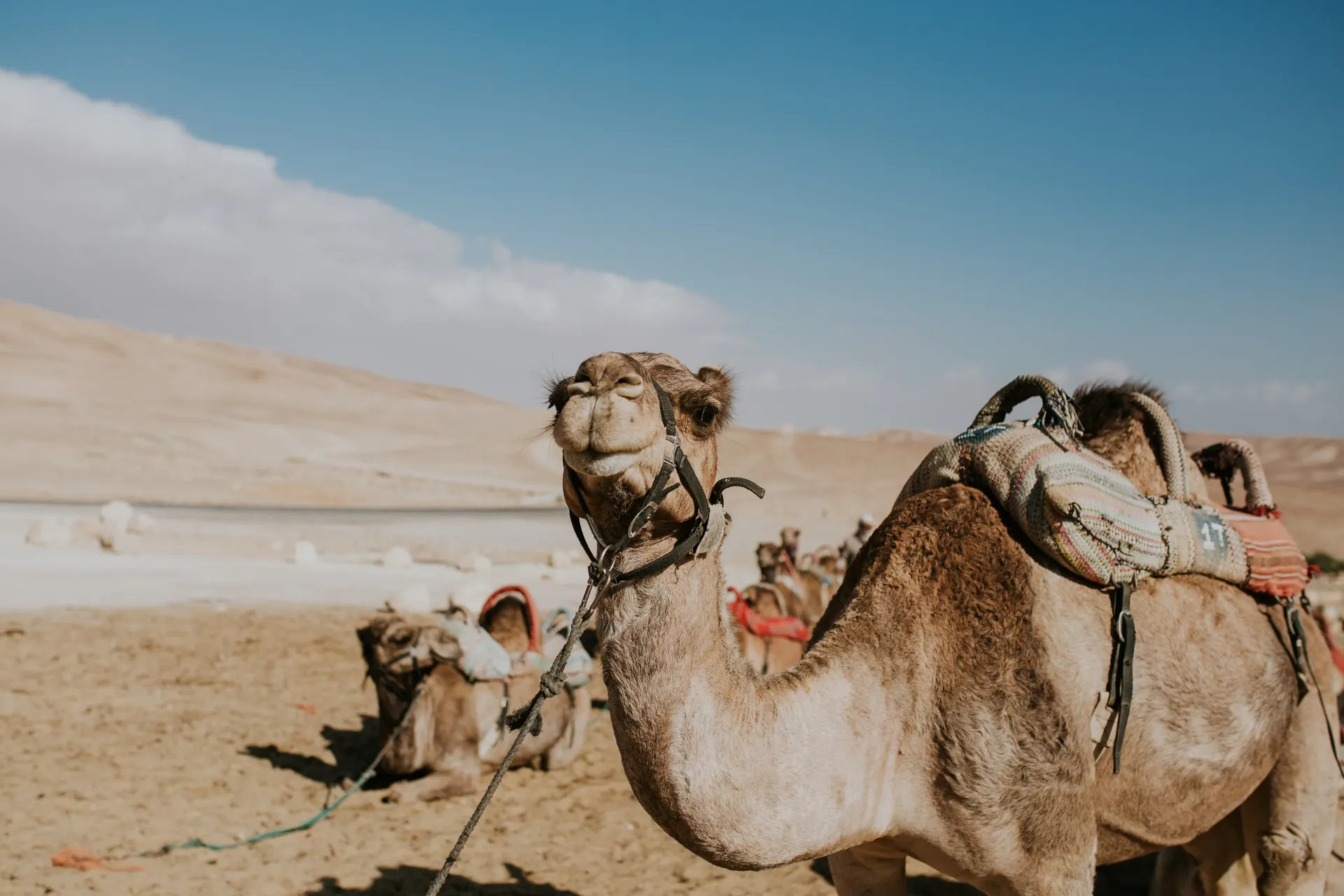 Excursion en privée - Sortie privative et sur-mesure au départ du Riad Ilyan