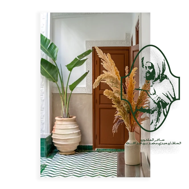 Terracotta vase and greenery by the patio pool at Riad Ilyan, Marrakesh